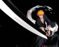 /album/galeria-de-fotos-bleach/images-16-jpg/